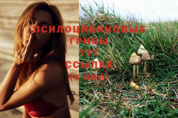 кокаин премиум Арсеньев