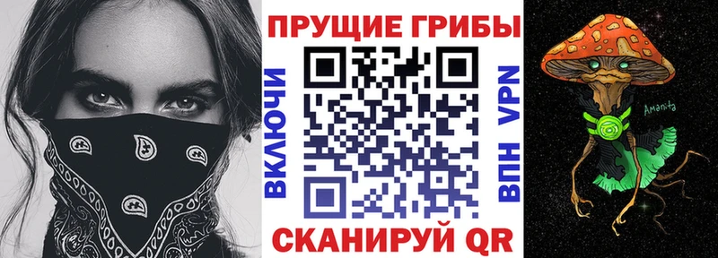 купить  сайты  ссылка на мегу как войти  Галлюциногенные грибы Psilocybe  Артёмовский 